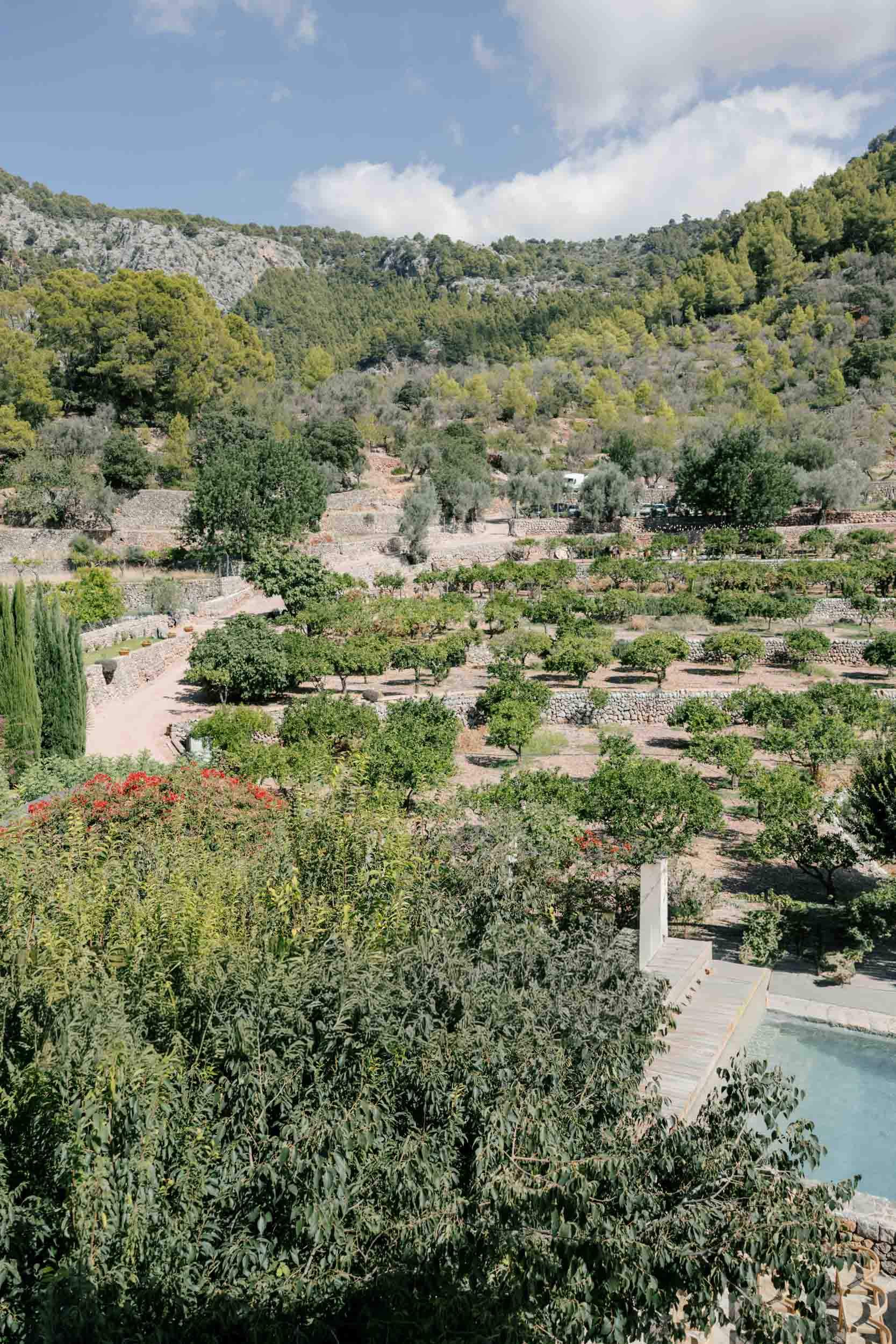 Simple yet stylish Ca S'hereu Wedding in Sóller, Mallorca