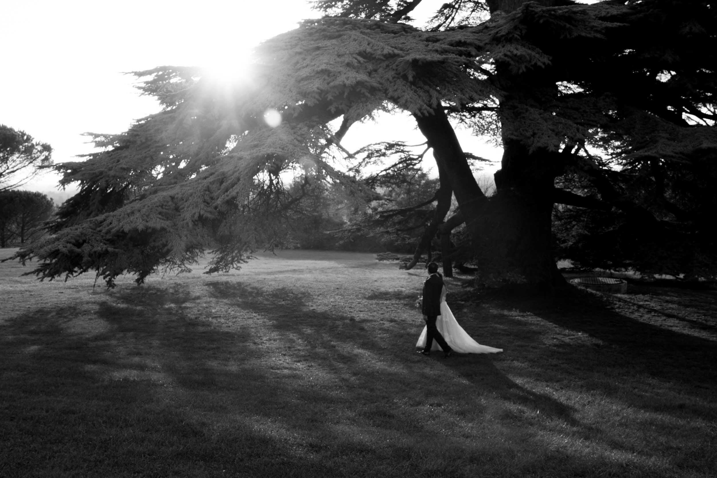 Wedding photography portfolio image